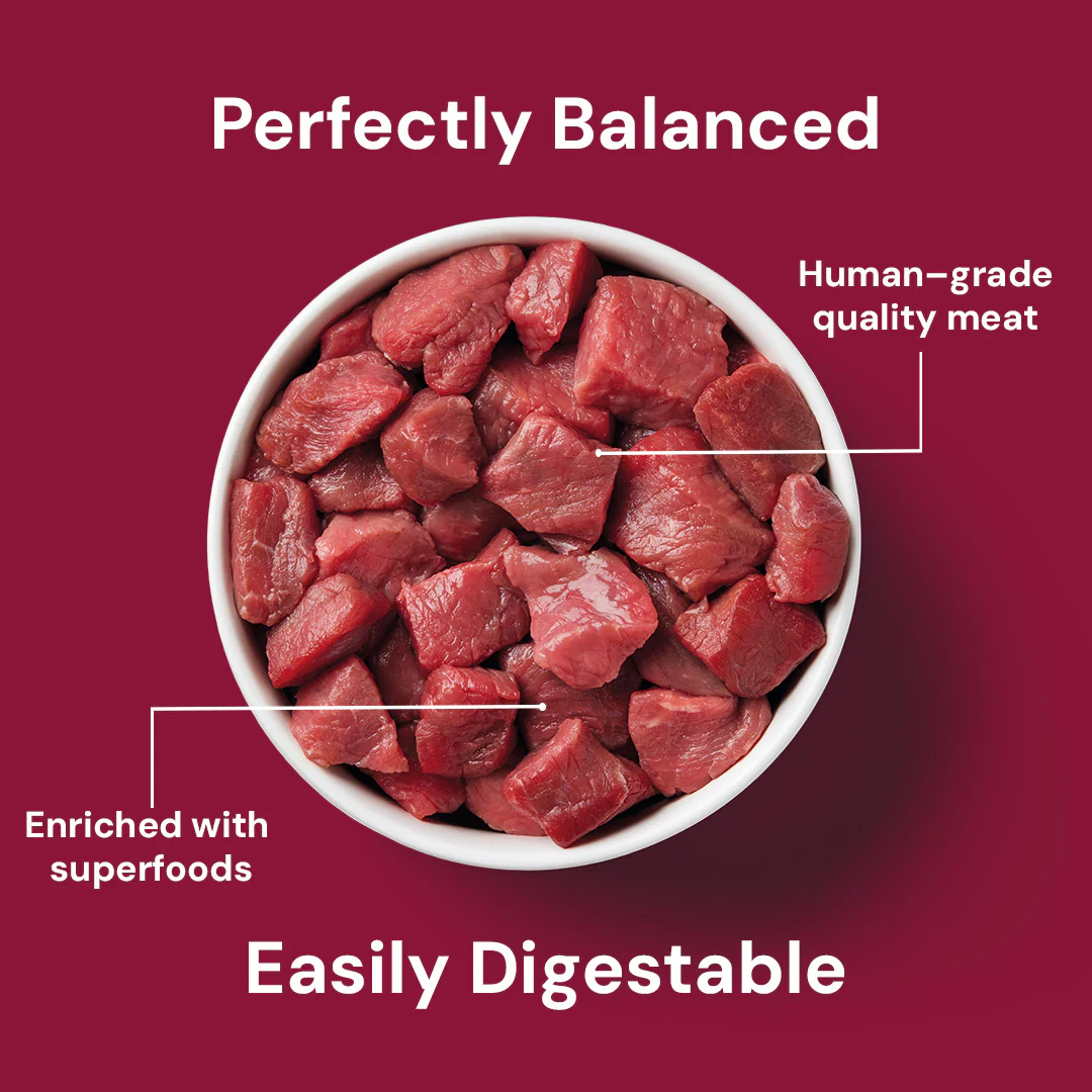 Cat Raw Beef 500g - Image 5