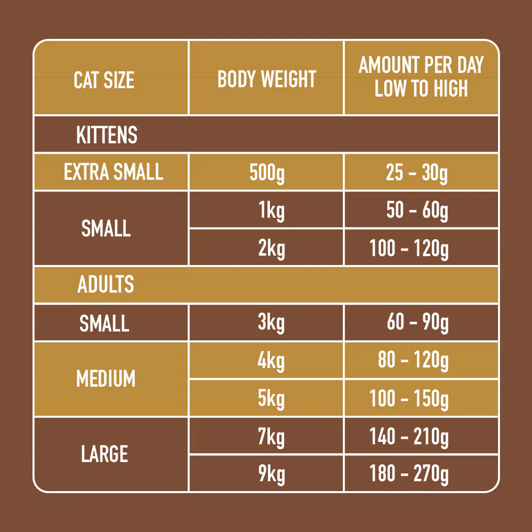 Cat Rabbit & Turkey Dinner 175g - Image 4