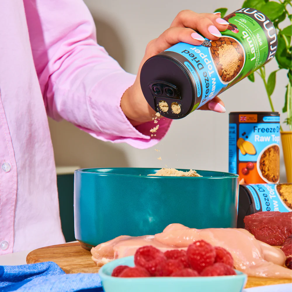 Freeze Dried Topper - Beef 50g - Image 3