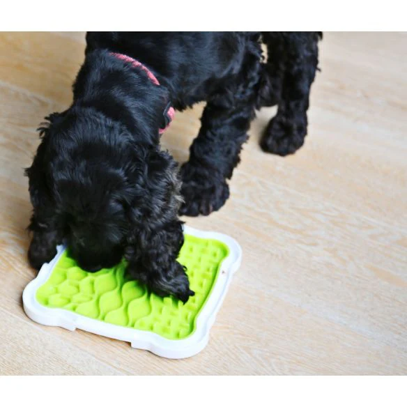 Lick n Snack Licking Plate - Image 3