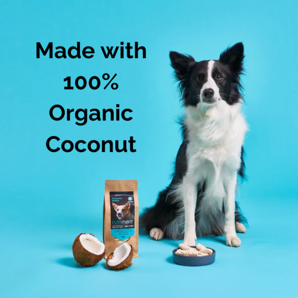 Organic Coconut Sticks 500g - Image 3