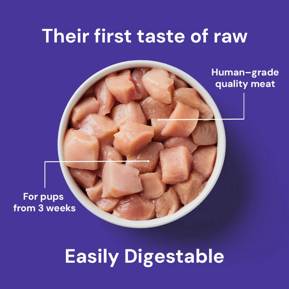 Weaning Paste Raw Chicken 500g - Image 4